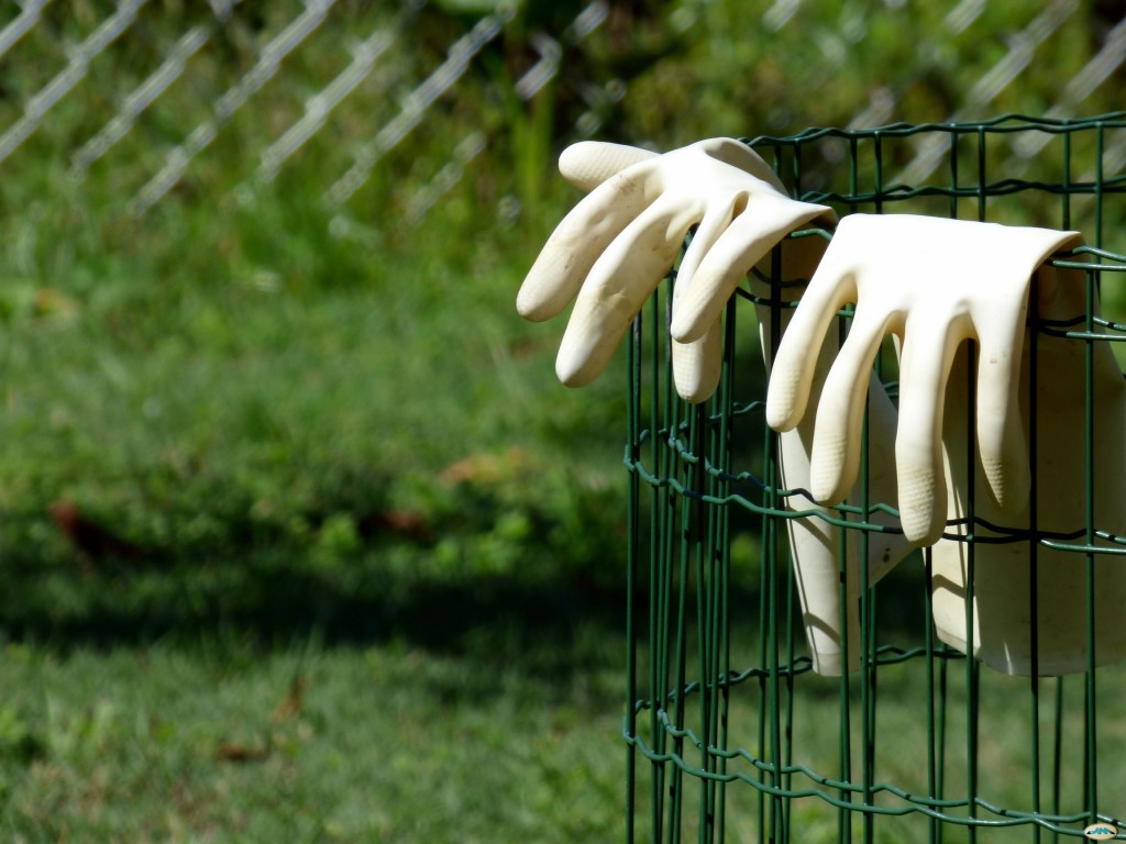 Guantes